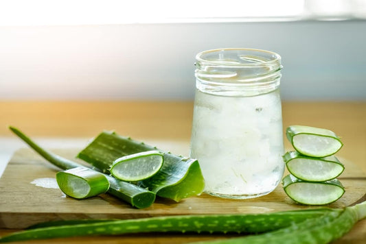 L’aloe vera à boire : la meilleure boisson naturelle - Natura Force