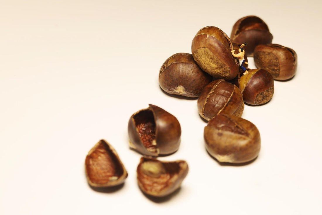 Noix de cola : propriétés et effets sur l’organisme - Natura Force