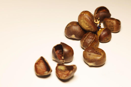 Noix de cola : propriétés et effets sur l’organisme - Natura Force