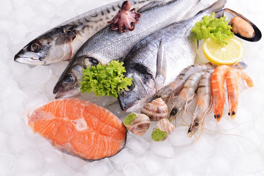 Poissons, fruits de mer et calories : comment choisir ? - Natura Force