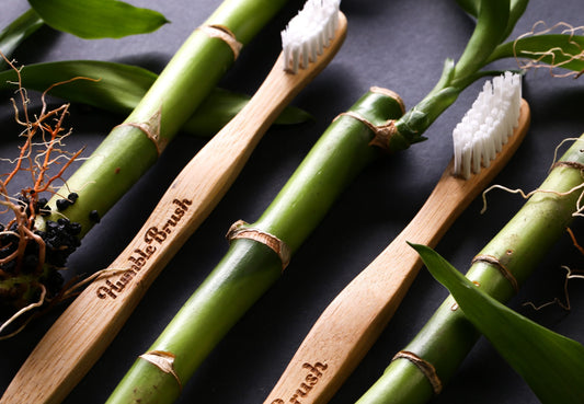 Quel matériel dentaire écologique utiliser pour nettoyer ses dents ? - Natura Force