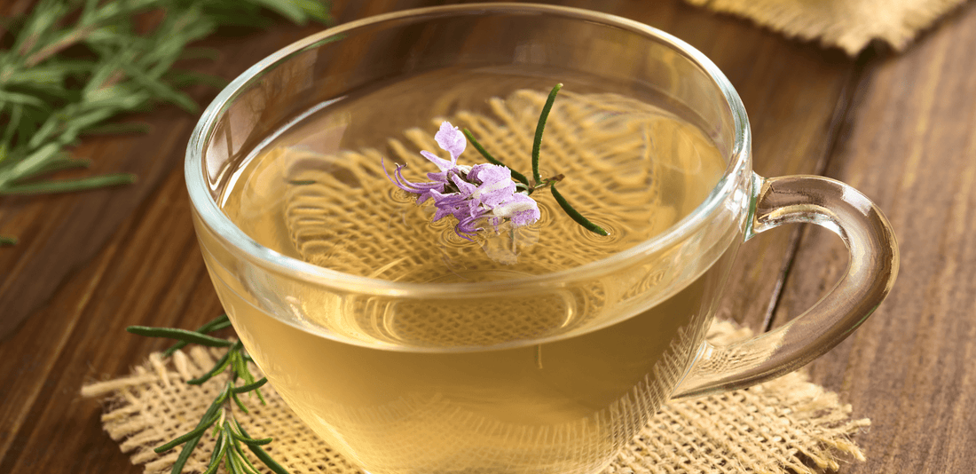 Tisanes et Infusions : découvrez leurs propriétés et bienfaits sur la santé - Natura Force