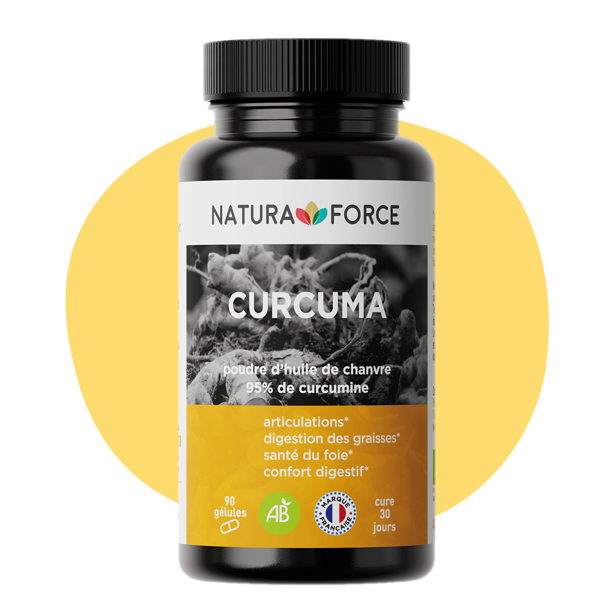 Curcuma bio Natura Force
