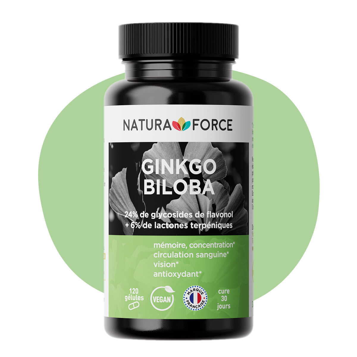 Ginkgo-Biloba