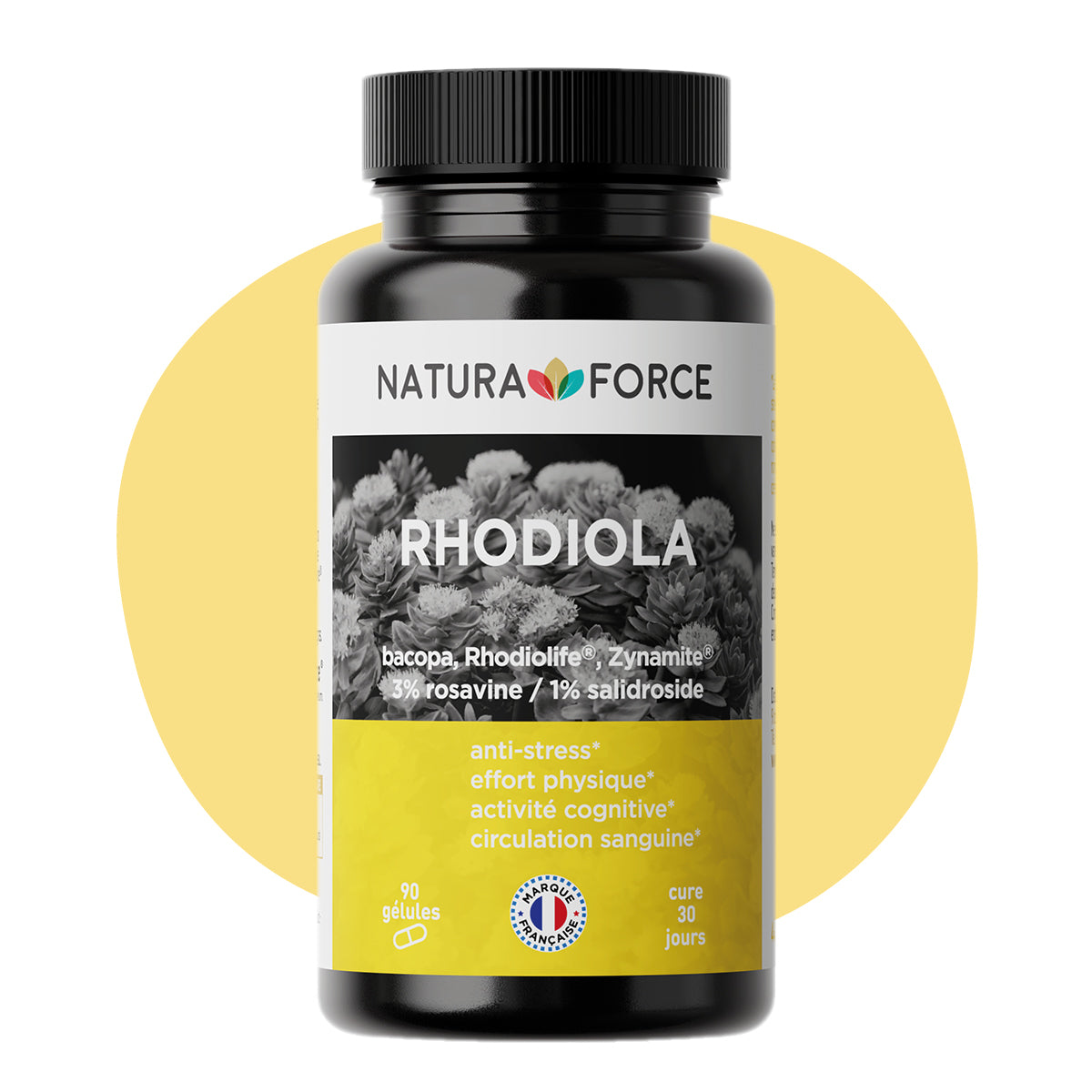 Rhodiola