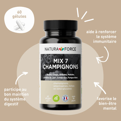 Mix-7-champignons-description