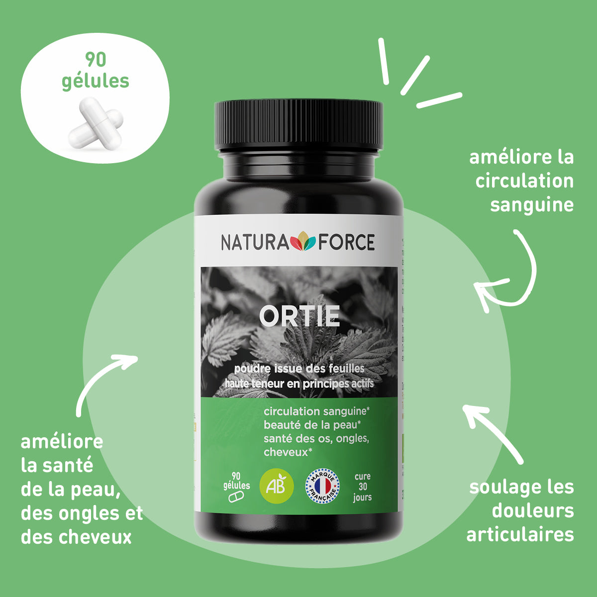 Ortie-bio-description