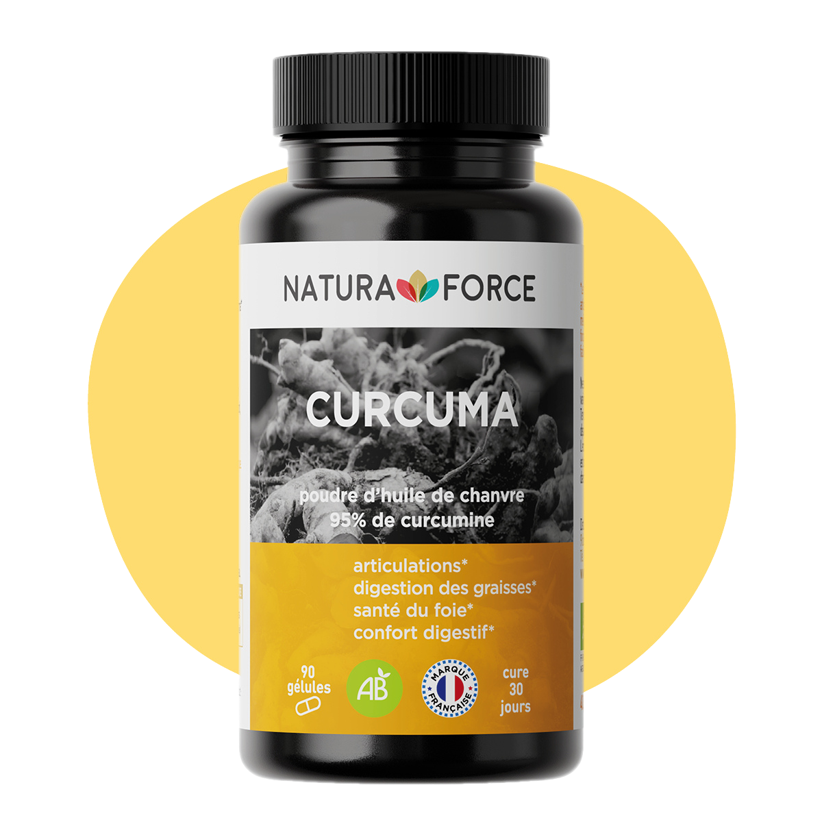 Curcuma bio