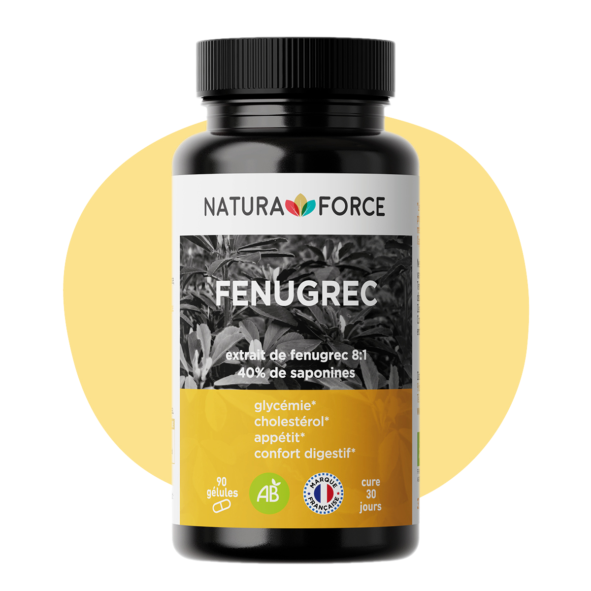 Fenugrec bio
