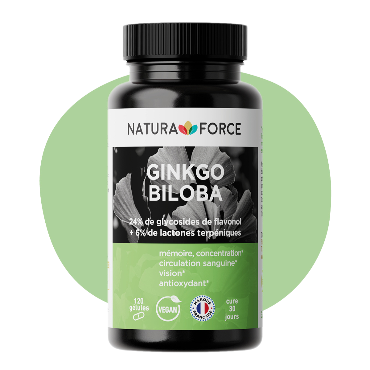 Ginkgo Biloba bio