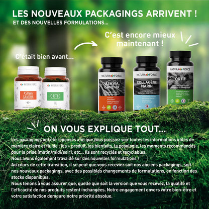 Chardon marie bio - Natura Force