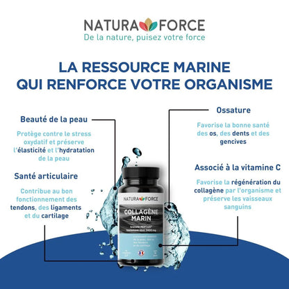 Collagène marin hydrolysé Peptan® - Natura Force
