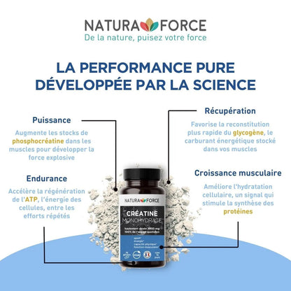 Créatine monohydrate - Natura Force