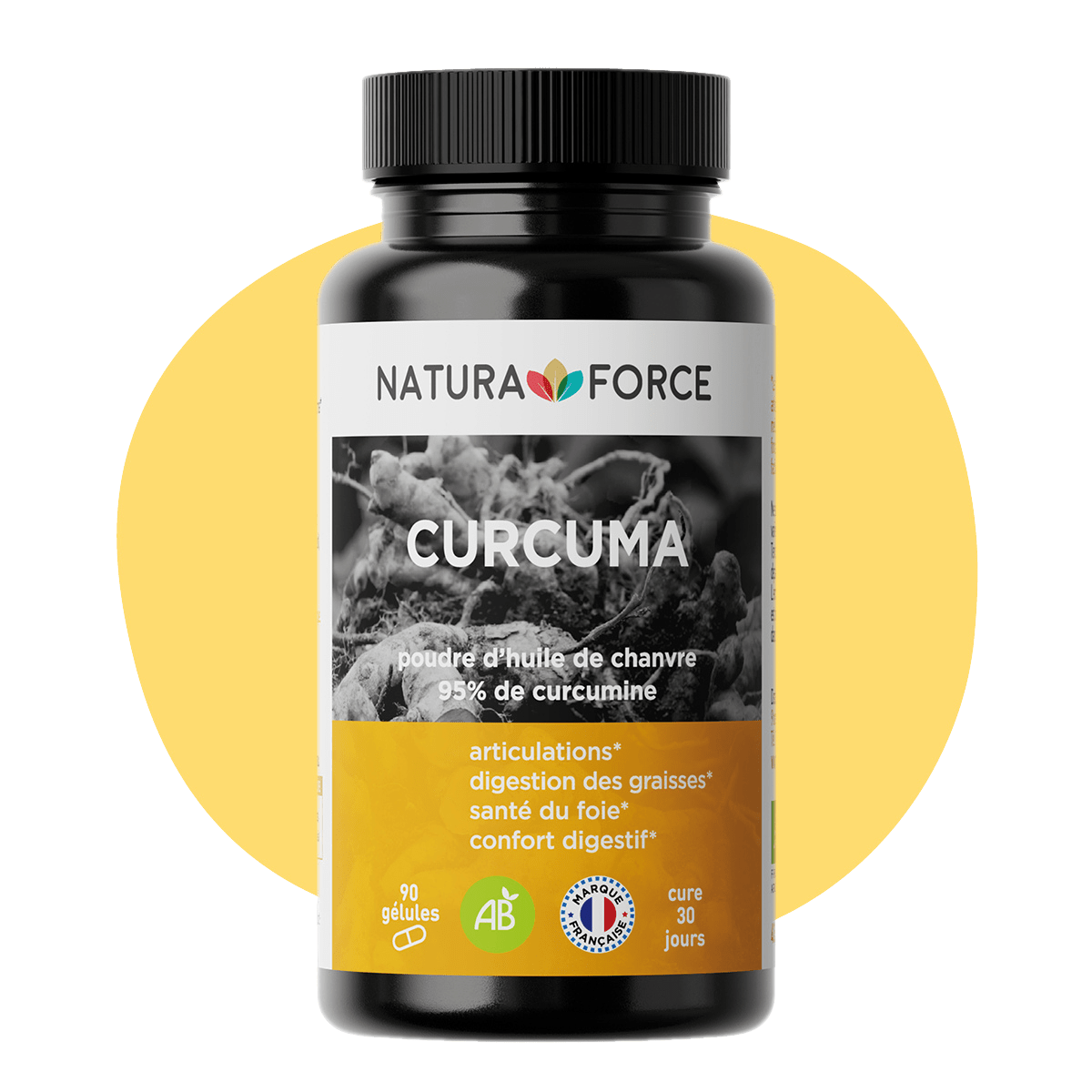 Curcuma bio - Natura Force
