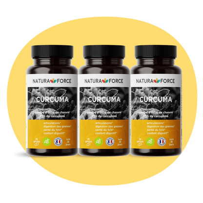 Curcuma bio - Natura Force