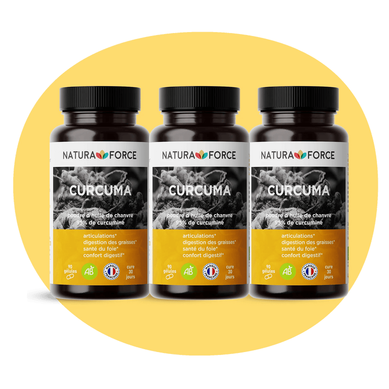 Curcuma bio - Natura Force