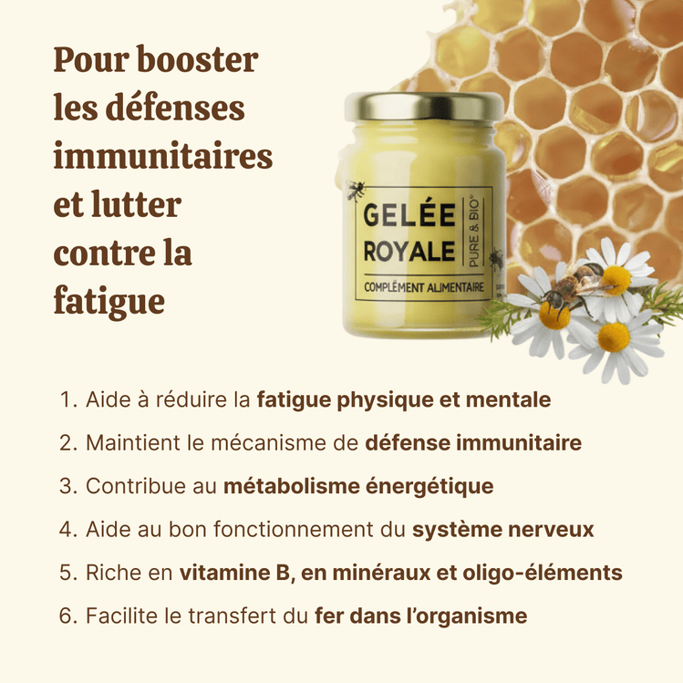 Gelée royale bio - Pot de 100g - Natura Force