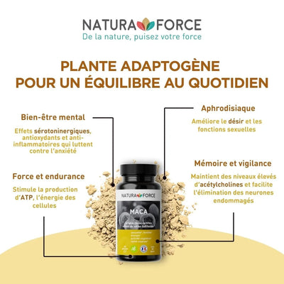Maca bio du Pérou - Natura Force