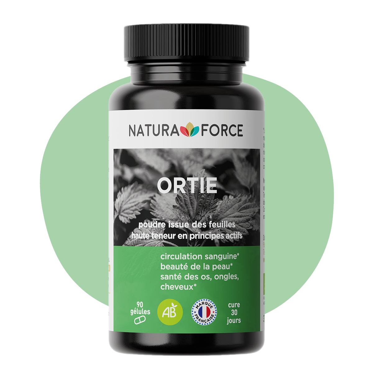 Ortie bio