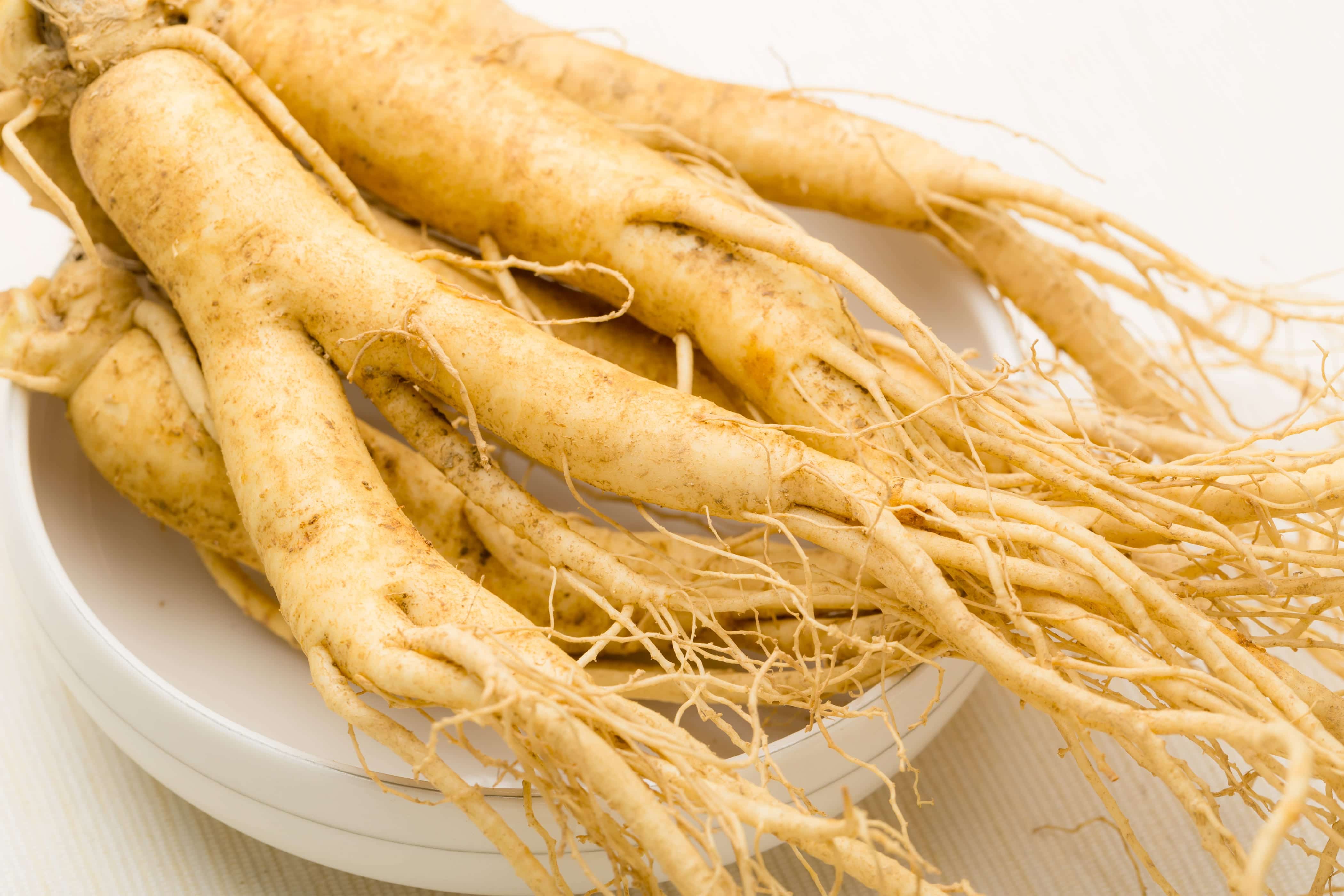 Image search result for "ginseng"