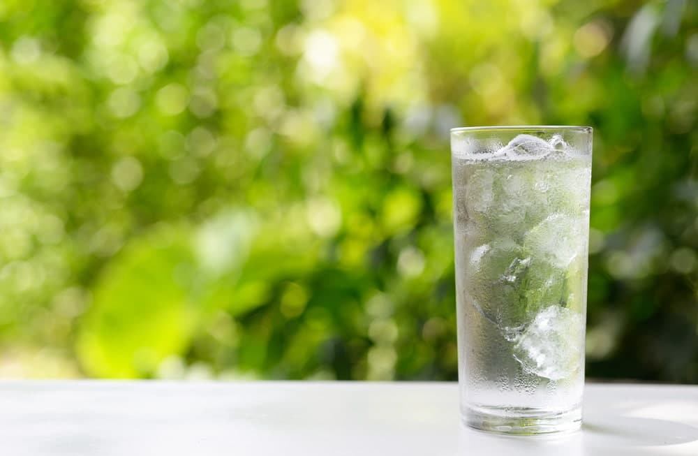 aloe vera boisson naturelle