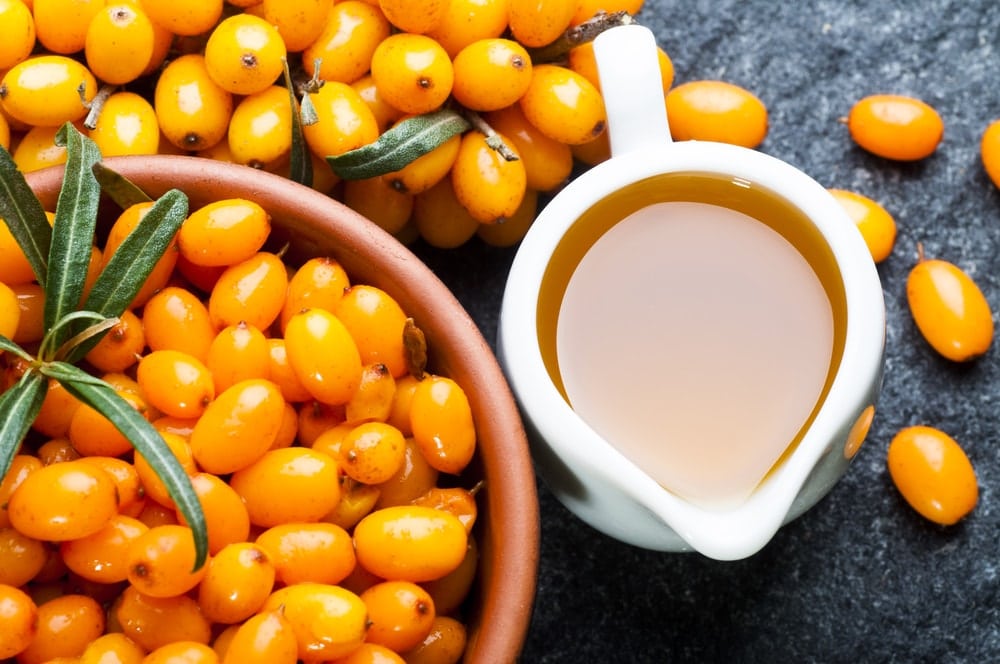 bienfaits du jus d'argousier