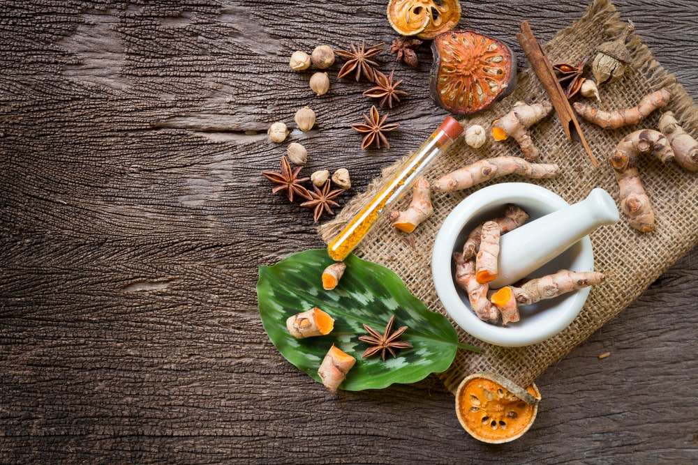 médecine traditionnelle indienne